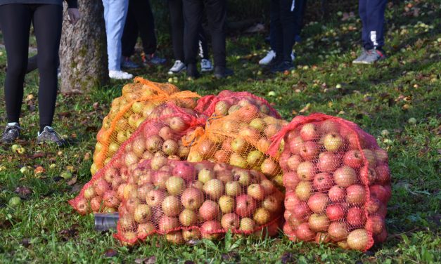NARAVOSLOVNI DAN »V SADOVNJAKU« 