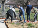 img_3543-kopiraj